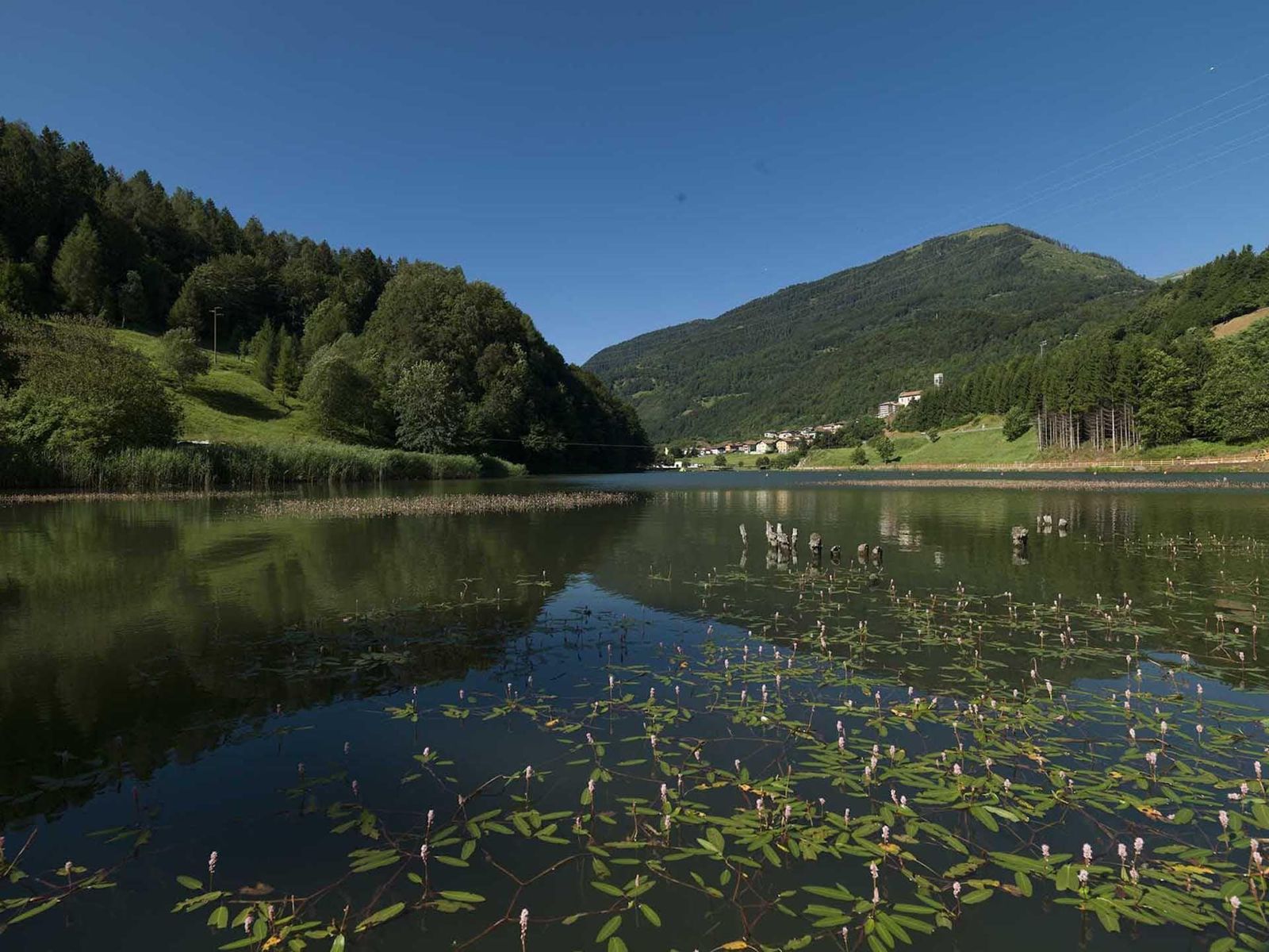 Il territorio