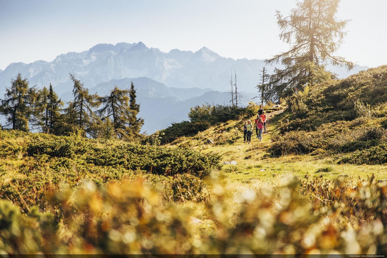 Trekking Monte Cengledino
